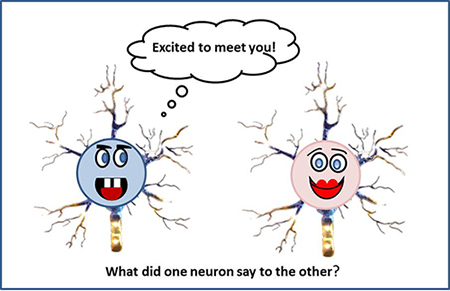 neuron_cartoon