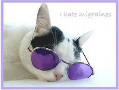 e1d71b3efb257e52d557e74dca09aa6d