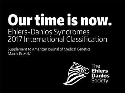 2017_classification-small