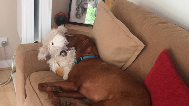 E5D7B6D9-8D78-4FD3-A89A-4EBC631599B2