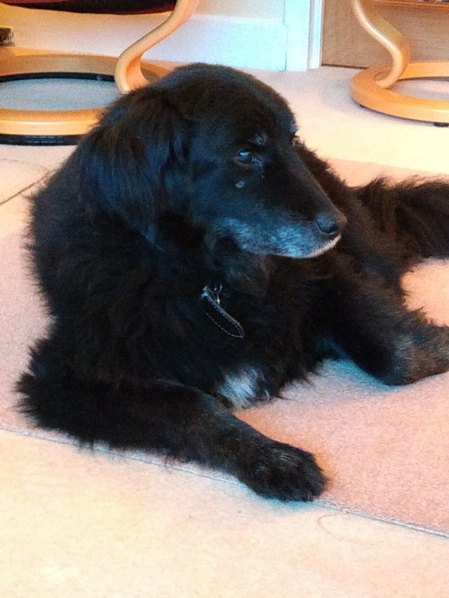 img_20180413_192555334