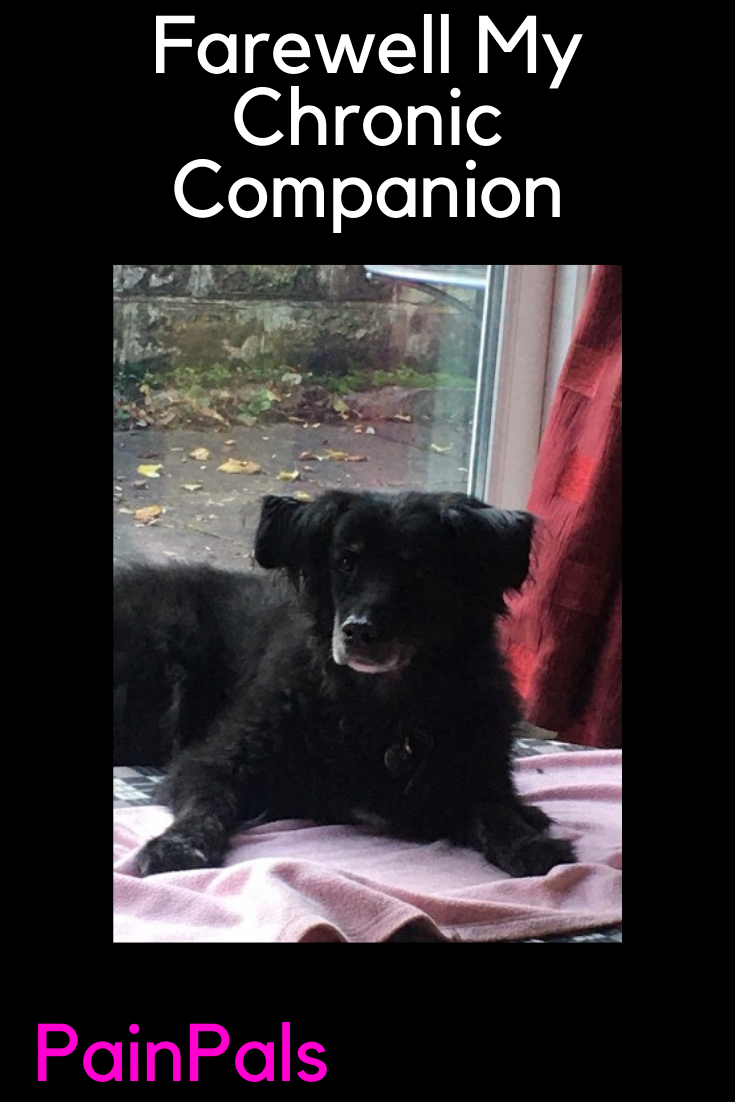 Farewell My Chronic companion 1